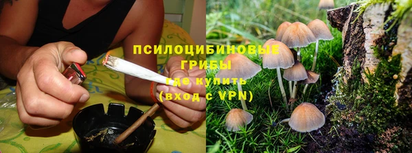 не бодяженный Краснотурьинск